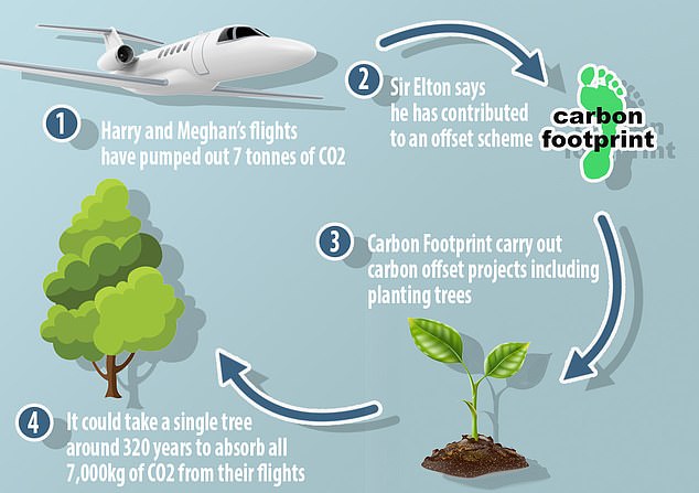Daily Mail Carbon Balance Graphic